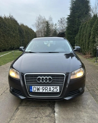 Audi A3 cena 25900 przebieg: 315000, rok produkcji 2010 z Żmigród małe 106